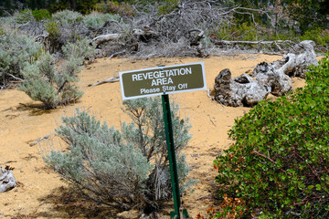 A Revegetation sign in an ecology wilderness area near Lake Tahoe, California