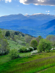 Scenic view of rolling hills, mountains, and a cloudy sky under sunlight. Mountain range with wildflowers. Landscape with Rolling Hills and Cloudy 