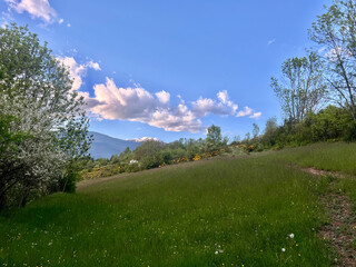 Scenic view of rolling hills, mountains, and a cloudy sky under sunlight. Mountain range with wildflowers. Landscape with Rolling Hills and Cloudy 