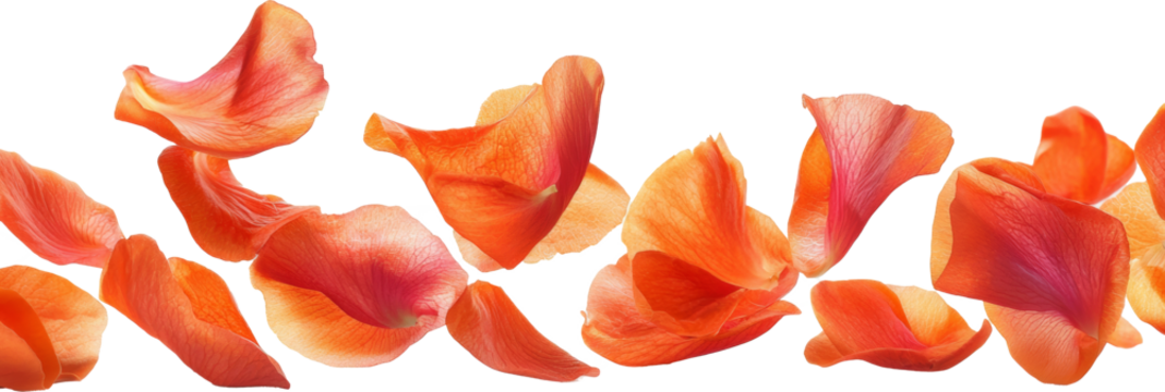 orange petal flower falling down 