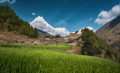 Scenic landscape with ancient temple against backdrop of Mount Manaslu, part of Mansiri Himal, Nepal.