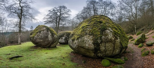 Large mossy boulders in a park-like setting with trees