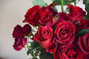 赤い薔薇