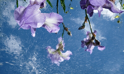 Fototapety na wymiar - Fototapeta24.pl