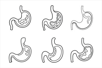 Obraz premium Six Black Line Drawings Human Stomach Anatomy Illustrations