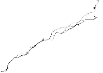 One big crack isolated transparent background png macro.