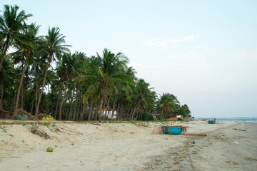 Tropical Beach Paradise Palm Trees, Sandy Shoreline, and Serene Ocean View in Asia. Mui Ne, Vietnam.