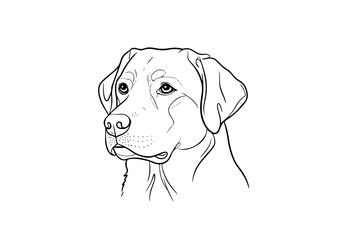 art, vector, illustration, dog, animal, drawing, line, isolated, labrador, pet, retriever, sketch, design, cartoon, puppy, cute, breed, graphic, happy, black, head, icon, white, doggy, canine, 