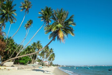 Tropical Beach Paradise Palm Trees, Sandy Shoreline, and Azure Sea on a Coastal. Mui Ne, Vietnam.