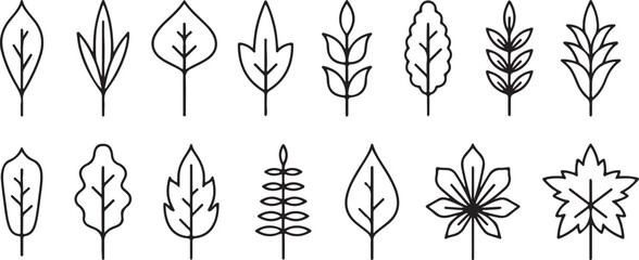 Leaf, Outline, Botanical, Nature, Plant, Minimal Vector