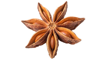 Star Anise Whole Brown Spice with Eight Pointed Shape and Shiny Seeds Isolated on Transparent Background