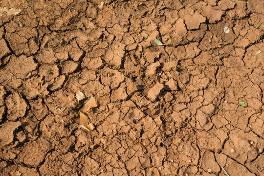 Close-up of parched, cracked earth showing signs of severe drought and soil degradation under hot, arid climate conditions.