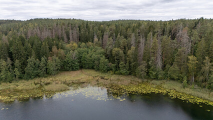 Aerial View of Serene Forest Lake