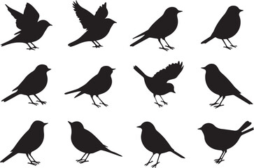 Collection of Bird Silhouettes A Diverse Set of Avian Poses