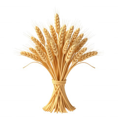 Thanksgiving 3d isolated transparent wheat bundle nature decorative elements studio environment close-up view