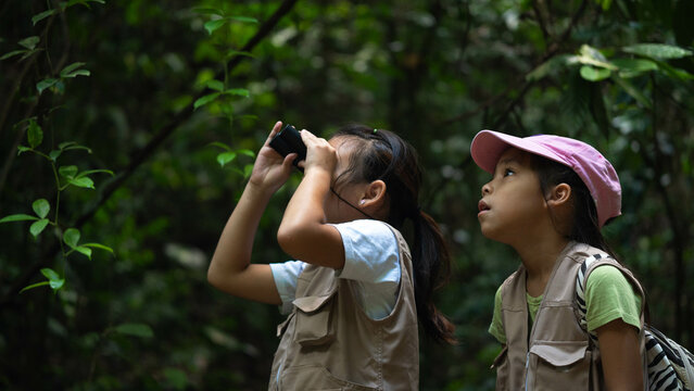 Smiling kids exploring nature. Cute little girl learning about nature with binoculars in the forest during a summer day together.