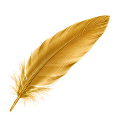 Fototapeta premium Golden Feather A Detailed CloseUp isolated on transparent bacckground