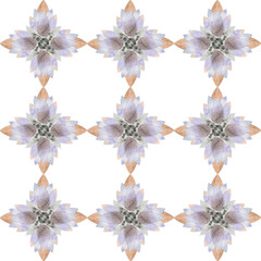 Seamless pattern tiles design. Abstract decorative ceramic with floral vintage.  Hand drawn watercolor illustration on white background.