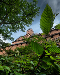 Das Schloss Hohkönigsburg im Elsass