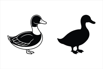 Black and White Duck Illustration with Silhouette vector