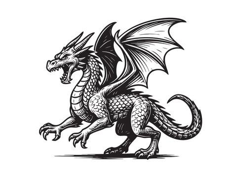 Roaring dragon with wings spread in dynamic pose, black and white engraving style, fierce mythical beast perfect for fantasy prints and tattoos.