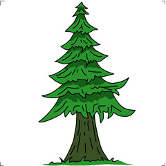 christmas tree isolated on white