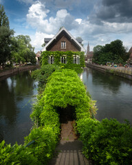 Fototapete bei efototapeten.de bestellen   