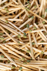 scattered matches without matchboxes , a large number of wooden matches scattered in a large pile