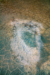 Pedology. Dried-up lake basin (dry lakebed) with a crust is called an alkaline surface - alkali...