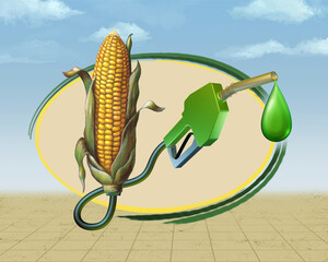 Production of biofuels from corn