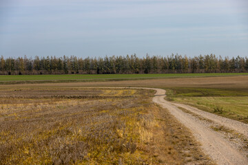 a track from a road in a field in the autumn of the year, a country road in rural areas