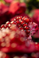 peeled ripe red pomegranate with juicy grains, closeup
