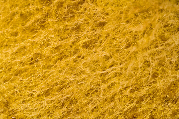 Penicillin and aspergillum mold on bread. Colonies of species of mold fungi, young (white), yellow Aspergillus flavus, green - Penicillum. Aspergillus niger ripe black round sporangia. Ultramacro