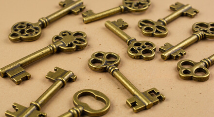 Vintage brass keys arranged on a neutral background  
