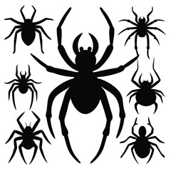 Spider on a Web Vector Illustration with Black Red Green and Blue Accents