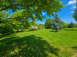 Botanical Paradise Lush Garden Splendor