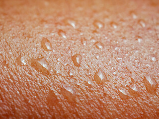 Skin, macro of water drops and texture or body of a person, armhair human and sweat with droplets