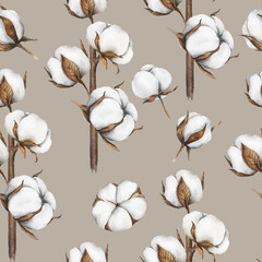 Cotton Plants Seamless Background. Botanical Background with   cotton balls. Floral Watercolor Illustration. Hand painted watercolor cotton branches. 
Watercolor cotton flowers seamless print