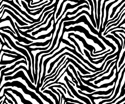 zebra pattern, seamless animal skin design vector texture 
