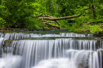 Caron Falls - A Scenic Waterfall Landscape In The Woods