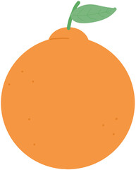 제주 한라봉 일러스트