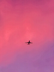 Airplane in the sky