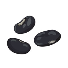 Black Bean. Flat vector clipart, illustration with isolated background.