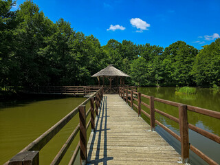 Enchanted Botanical Garden A Symphony of Colors and Greenery