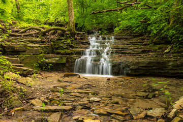 Wellstone Falls - A waterfall on a stream in the woods.