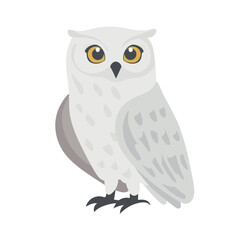 Cute polar owl. Flat vector clipart, illustration with isolated background.