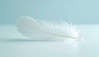 Obraz premium Single White Feather on Light Blue Background