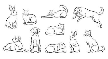 Fototapeta premium Black Line Art Illustrations of Various Pets