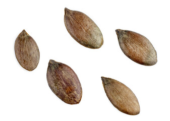 Pumpkin seeds isolated on a white background, contour