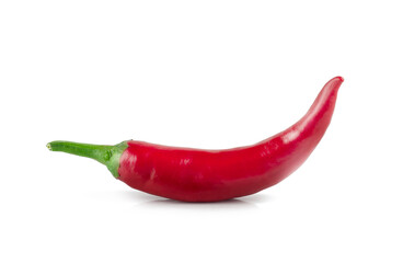 Pepper bitter isolated on a white background